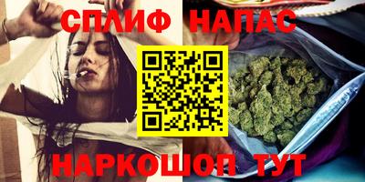 a pvp Кингисепп