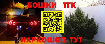 a pvp Кингисепп