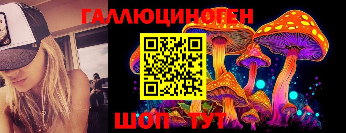 Галлюциногенные грибы MAGIC MUSHROOMS  Вход с VPN  Королёв  Псилоцибиновые грибы ЛСД 